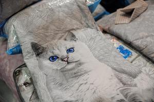 dom2_23.04.2025.jpg dom2_23.04.2025.jpg